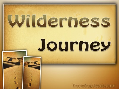 Wilderness Journey - Man’s Nature and Destiny (13)